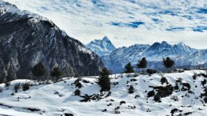 Dehli to Auli